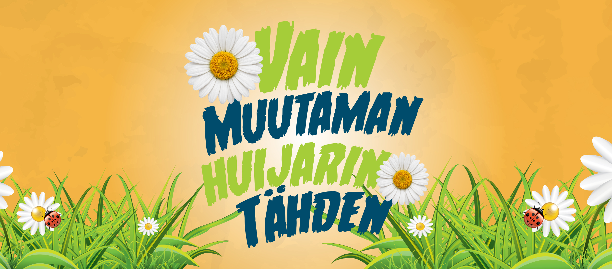 Vaaleassa koivumetsässä otettu taiteellinen ja tunnelmallinen kuva, jossa korostuvat valon ja varjon leikki sekä luonnon rauha. Tausta on hämyisä ja utuinen, luoden ilmavan ja rauhallisen tunnelman.